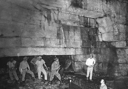 初蕾电影在线观看 完整的线观观影体验