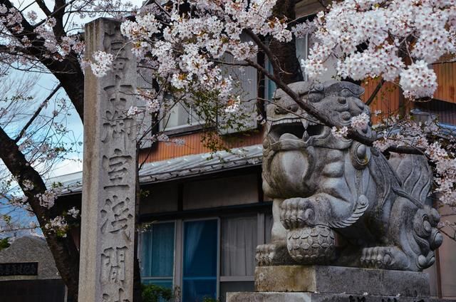 男同 尿 男同尿应在72小时内尽快就医海报