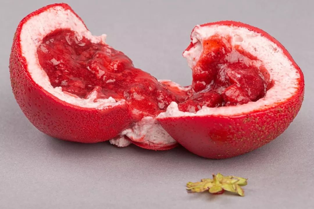 蓝颜无限金币 蓝颜加速养成进程等海报