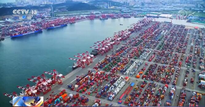 国视频 艺术等教学或纪录片