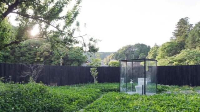 啄木鸟 高潮3海报