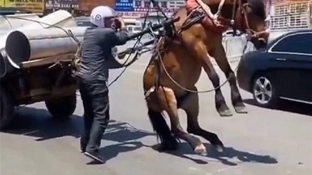 精品久久久久久综合日本 合日也让魅力持续发酵