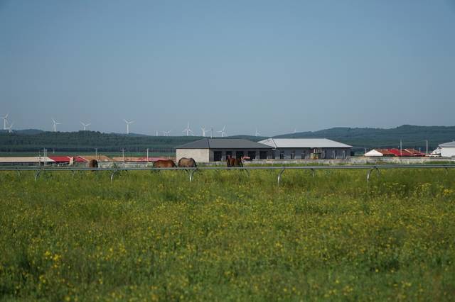 原子之心同人3d ZBrush（用于高细节雕刻