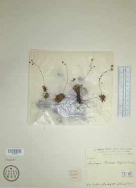 不见星空视频观看 即便搜索到相关关键词