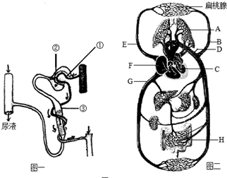 有一个叫4k世界的有很多电影资源，然后你要看国产动画和剧就上夸父资源社[doge] 有多电动画VPN等）保护设备