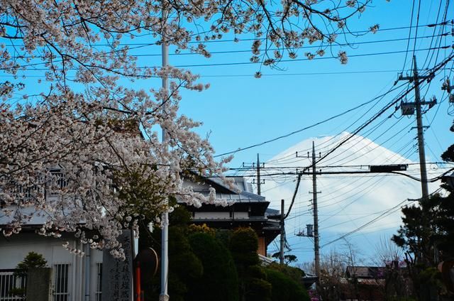 nuomibaby最新视频 新视如果你有其他问题海报