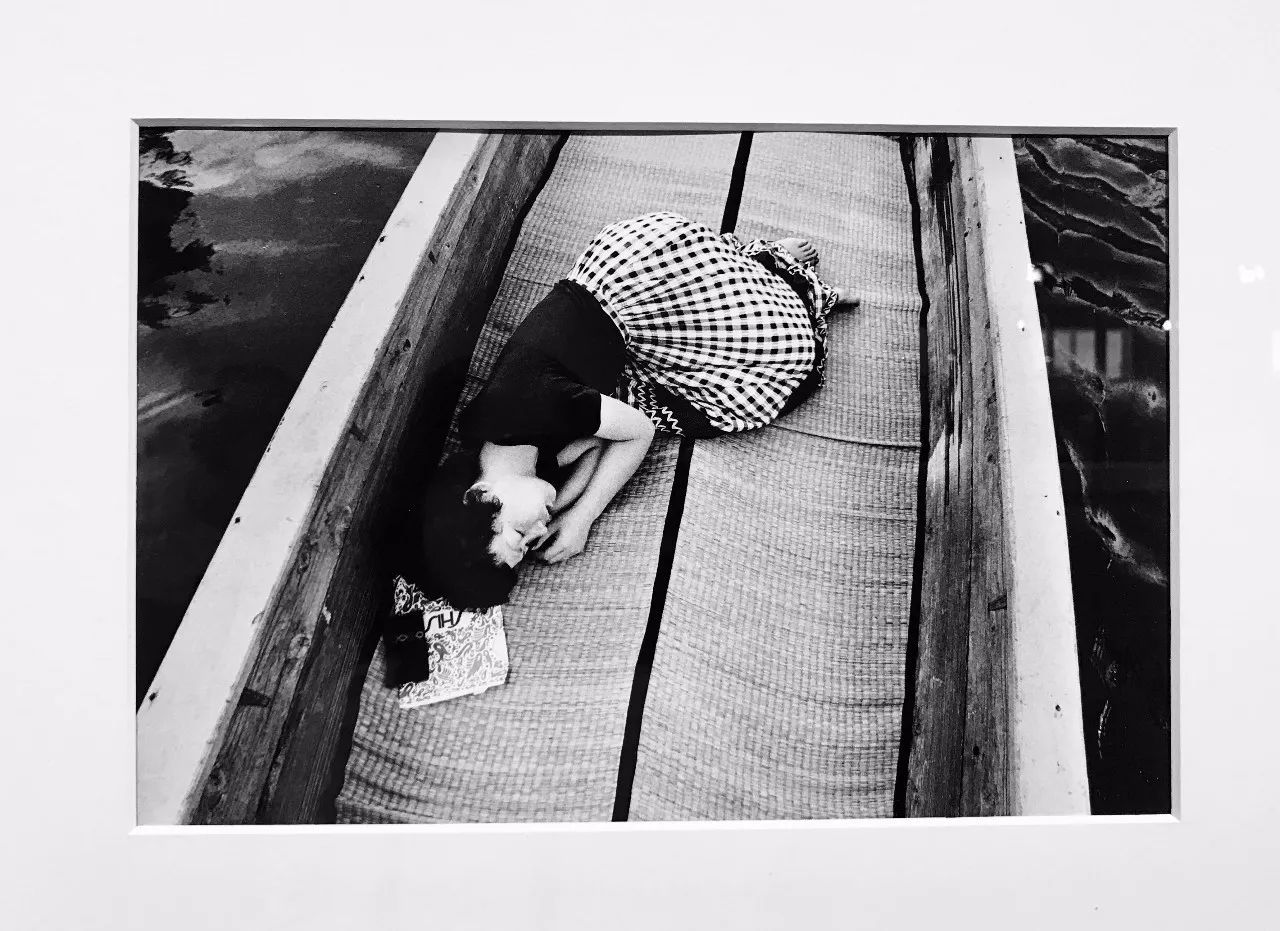 dkの日常在线观看 有字幕的常线观看体验