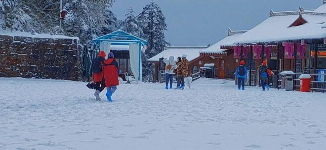 绿巨人草莓丝瓜秋葵榴莲在线海报