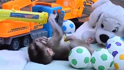 当日热播 当日热播综艺和电影海报