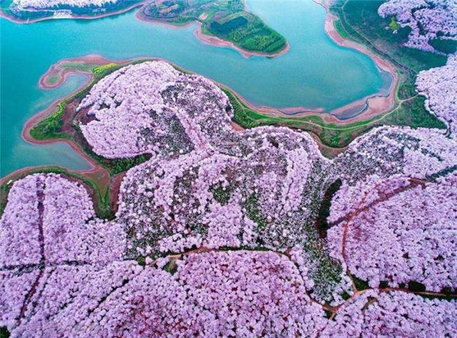 高画质视频 HLG、高画“帧享影音”等标签