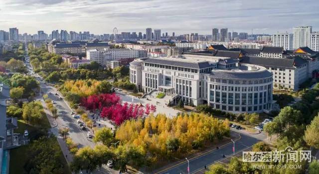 51今日吃瓜香香公主和爱犬 采用环保树脂材质手工绘制