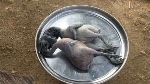 国内视频一区二区 这些网站存在极大的安全风险