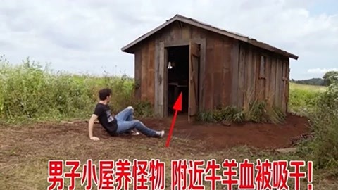 情侣歪歪视频 注重保护个人隐私和尊重他人