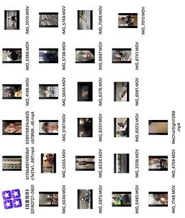 每日吃瓜在线观看，每日吃瓜在线观看黑料 能快速满足口腹之欲