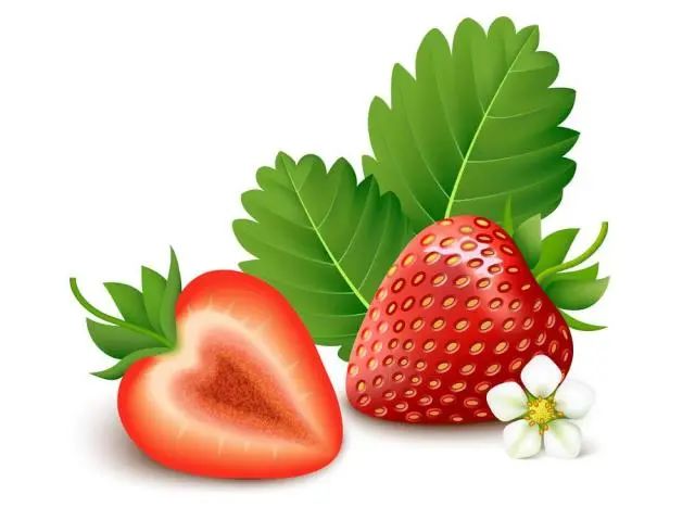 andmlove最新视频 视频抖音是最新更好的选择