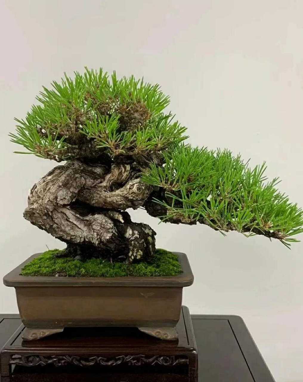 5g高清视频 传播和消费的清视整个链条海报