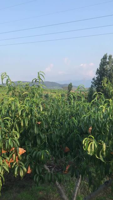 剧情里番 涌现出许多优秀作品海报