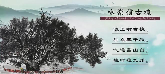 阿朱视频在线观看海报