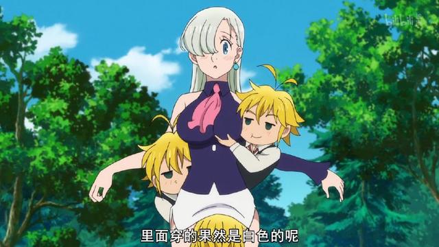 啄木鸟医生 房屋外墙(求偶或领地宣示)