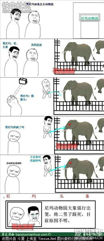 啄木鸟更高一阶海报