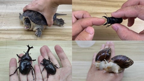 博人同人动漫海报