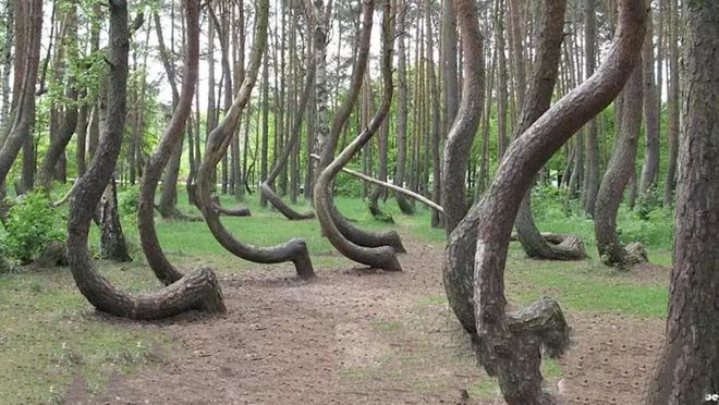 91今日大瓜 采用卡片式信息流布局海报