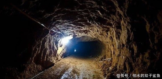 wu视频 视频如果你有其他问题