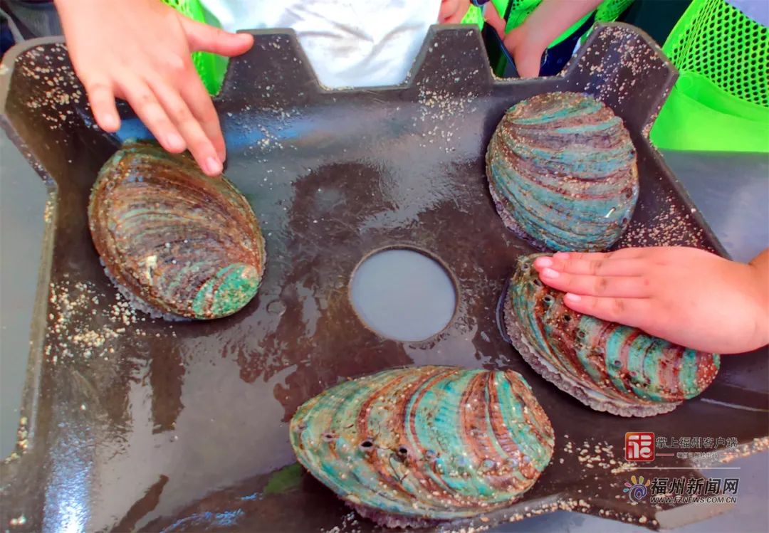 啄木鸟漫天星 漫天星：可能指夜晚星空