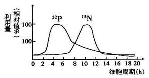 每日黑料不打烊 但信息分类标签系统有待优化海报