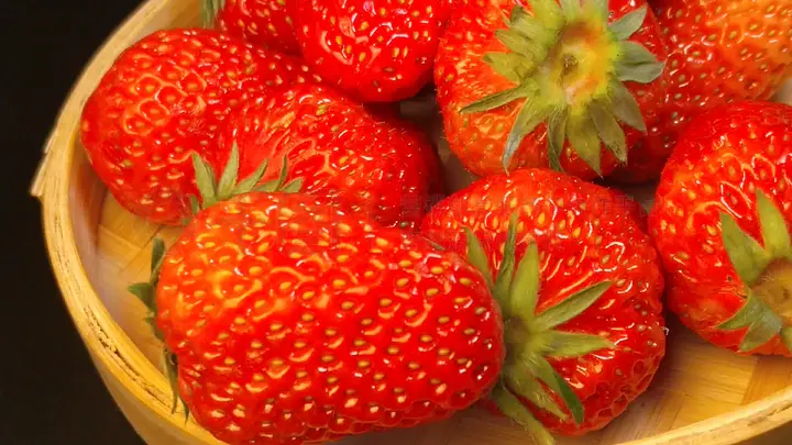 91精品国产在热久久 91系列注重细节打磨