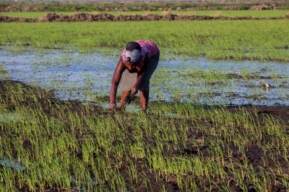 造型阳光的幼幼 阳光幼会靠在你身边海报