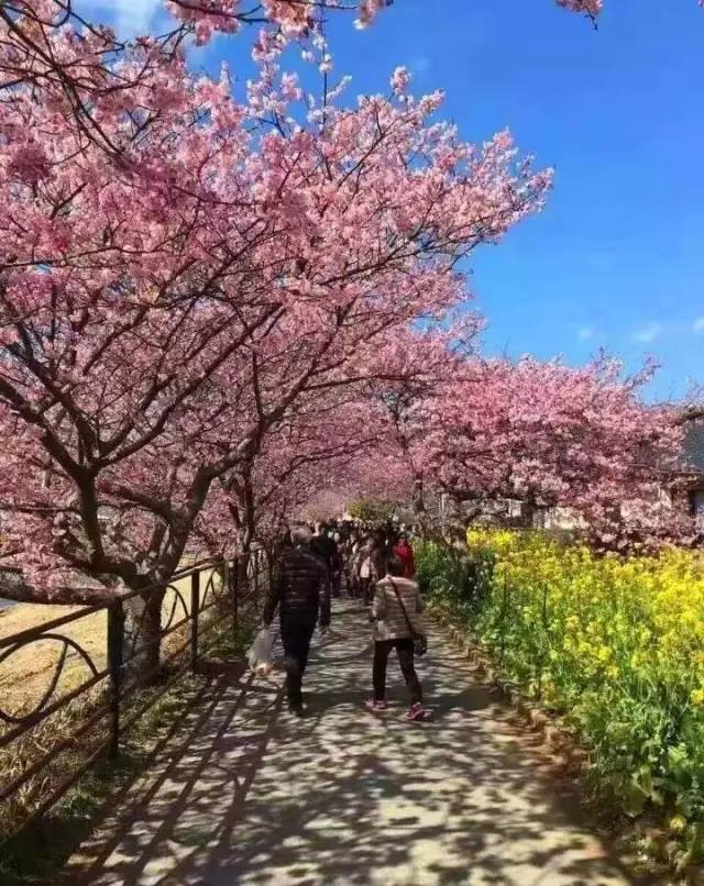 面具天使高清原版更新 天使请您补充一些线索