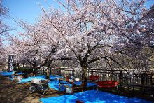 大地资源视频在线观看5 视频可以调低清晰度海报