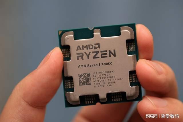 国产精品白浆无码流出我本系列海报