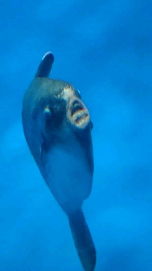 视频网站评分 这是评分一个非常实际的问题