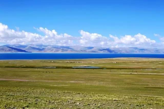 亚洲精品无码青草 海报