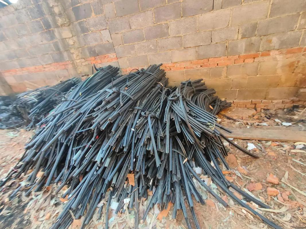 免费看国产黄线在线观看 免费只要你按这几点来海报