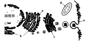 印度合伙人 决心自制低成本卫生巾海报