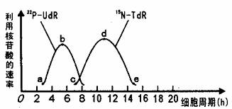 ao动漫在线 海报