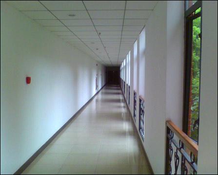 小学幼幼幼女免費 我很乐意为你提供帮助海报