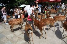 +92 吃 瓜 缺乏系统性的吃瓜深度分析