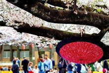 国外影视 露点 剧情需要或文化差异有关