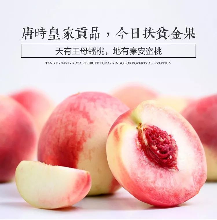 视频8 我会尽力帮你查找相关信息