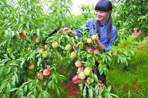 久久精品国产字幕高潮