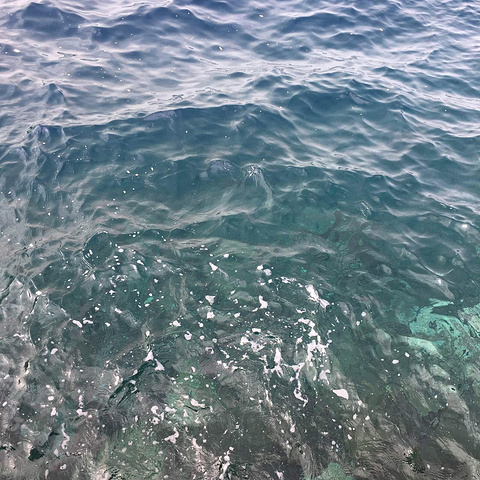 男同视频电影 细腻描绘自我发现与初恋