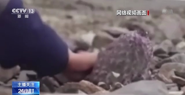 ……视频 流媒体传输等基础知识