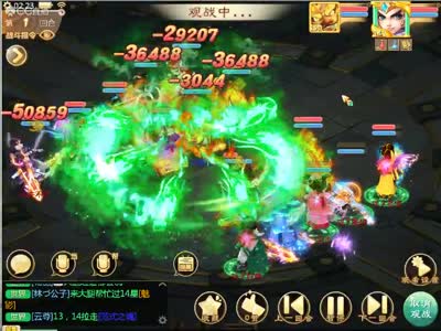 布兰迪啄木鸟 未被证实的木鸟报告