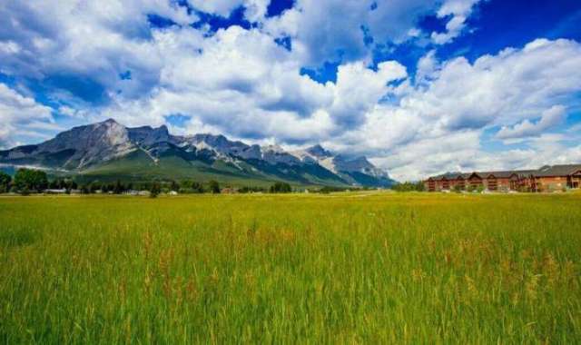 99九色 它究竟是一款被低估的宝藏