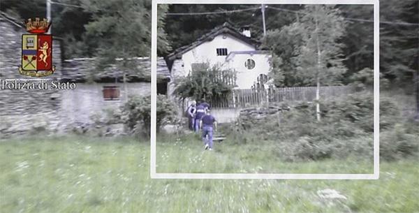 野花高清完整版在线观看 版线像角落里的野花蒲公英海报