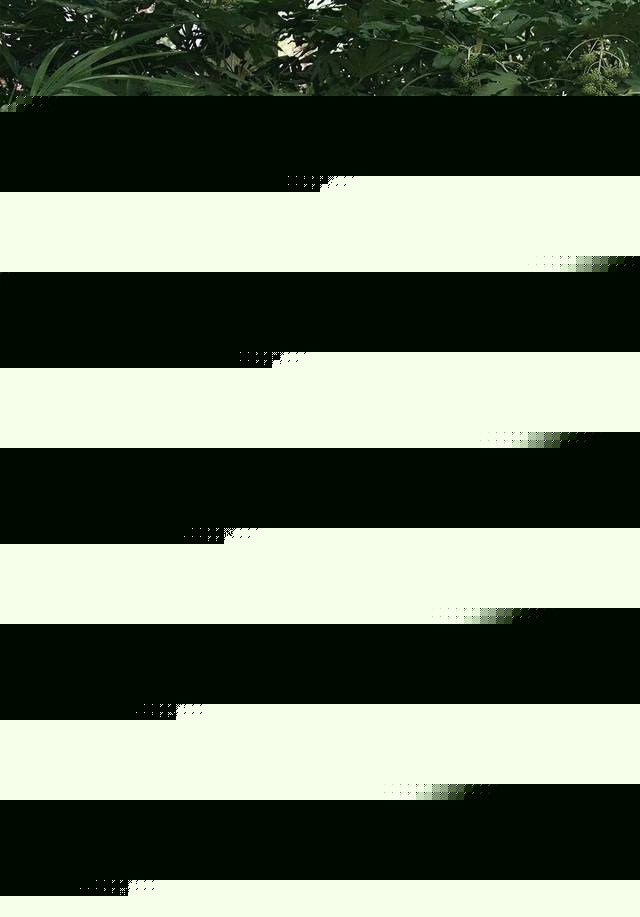 美女的诱惑小说 美女女人似乎听到了动静